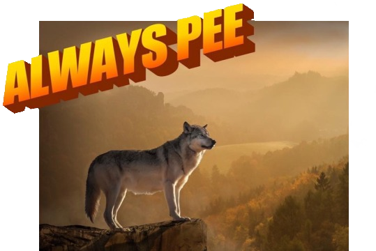Always Pee